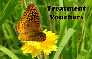 Treatment Vouchers